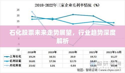 石化股票未来走势展望，行业趋势深度解析