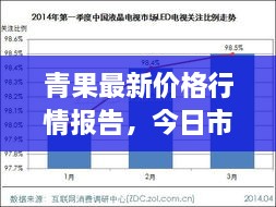 青果最新价格行情报告，今日市场走势分析