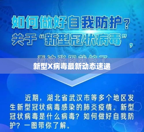 新型X病毒最新动态速递