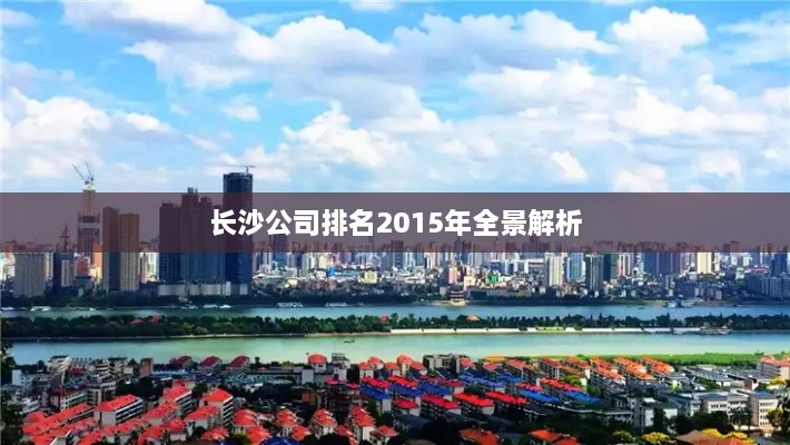 长沙公司排名2015年全景解析