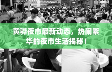 黄骅夜市最新动态，热闹繁华的夜市生活揭秘！