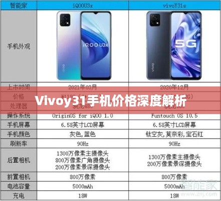 Vivoy31手机价格深度解析