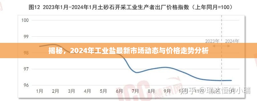 揭秘，2024年工业盐最新市场动态与价格走势分析