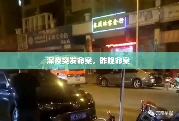 深夜突发命案，昨晚命案 