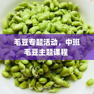 毛豆专题活动，中班毛豆主题课程 