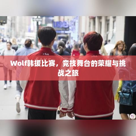 Wolf韩援比赛，竞技舞台的荣耀与挑战之旅