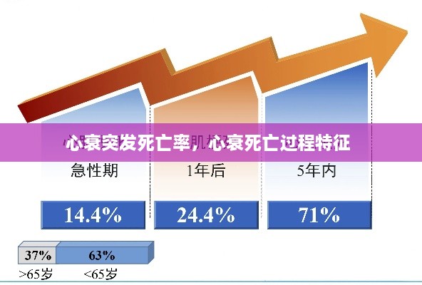 心衰突发死亡率，心衰死亡过程特征 