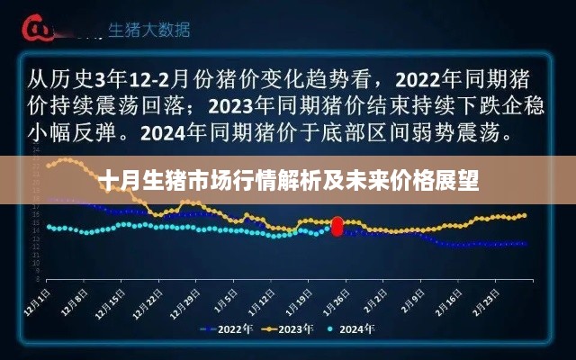 十月生猪市场行情解析及未来价格展望