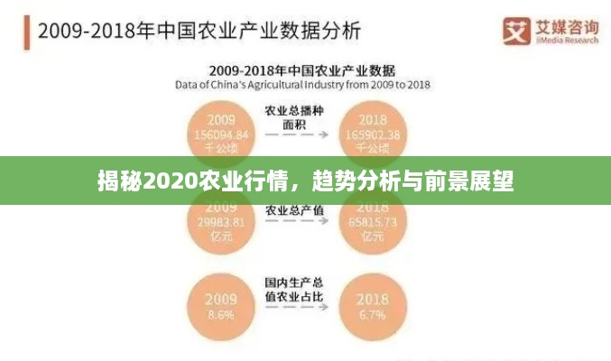 揭秘2020农业行情，趋势分析与前景展望