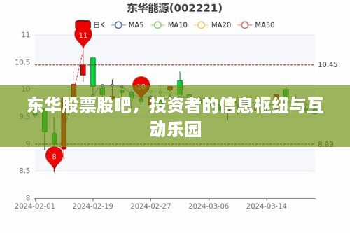 东华股票股吧，投资者的信息枢纽与互动乐园