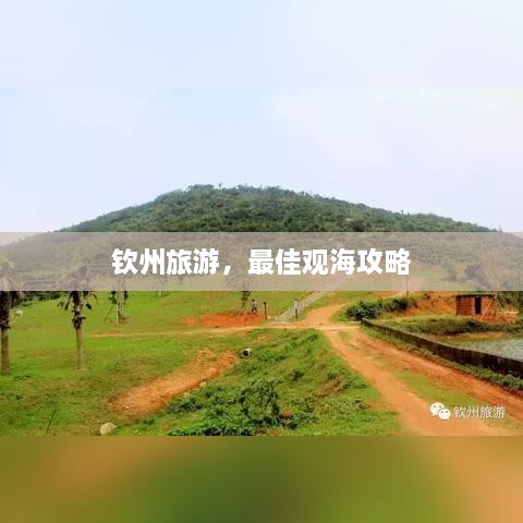 钦州旅游，最佳观海攻略