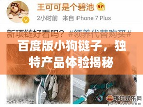 百度版小狗链子，独特产品体验揭秘