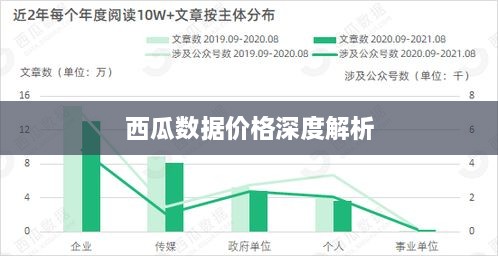 西瓜数据价格深度解析