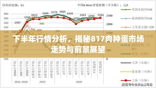 下半年行情分析，揭秘817肉种蛋市场走势与前景展望