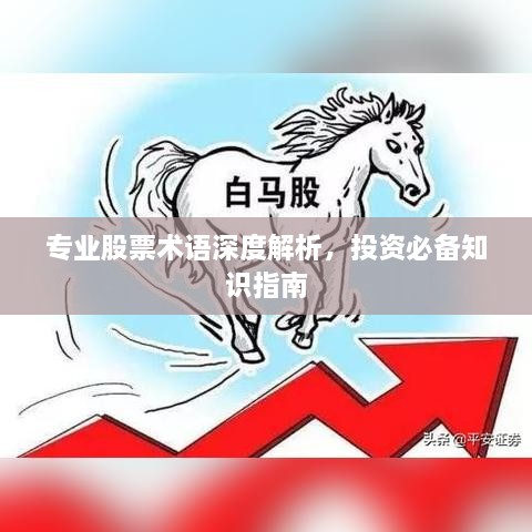 专业股票术语深度解析，投资必备知识指南