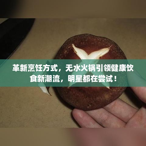 革新烹饪方式，无水火锅引领健康饮食新潮流，明星都在尝试！