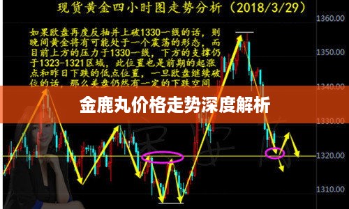 金鹿丸价格走势深度解析