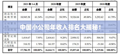 中国小公司年收入排名大揭秘！