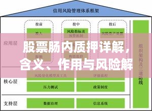 股票肠内质押详解，含义、作用与风险解析