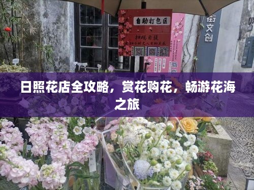 日照花店全攻略，赏花购花，畅游花海之旅