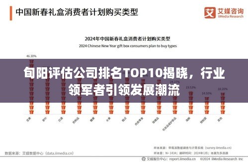 旬阳评估公司排名TOP10揭晓，行业领军者引领发展潮流