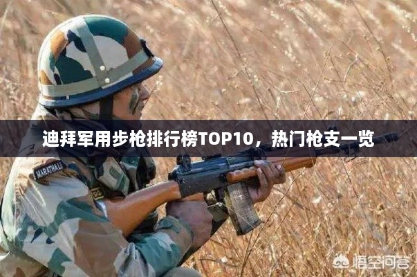 迪拜军用步枪排行榜TOP10，热门枪支一览