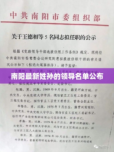 南阳最新姓孙的领导名单公布