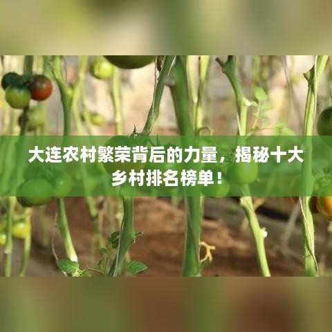 大连农村繁荣背后的力量，揭秘十大乡村排名榜单！