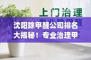 沈阳除甲醛公司排名大揭秘！专业治理甲醛，健康有保障