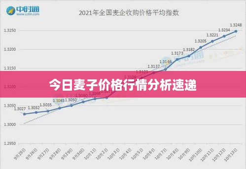 今日麦子价格行情分析速递