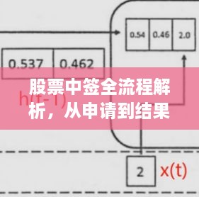 股票中签全流程解析，从申请到结果的详细步骤揭秘