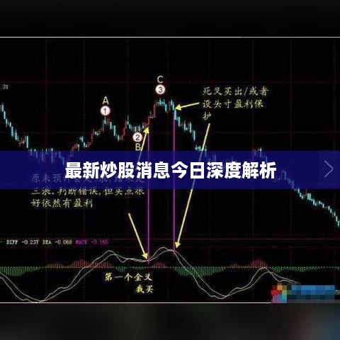 最新炒股消息今日深度解析