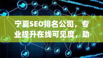 宁夏SEO排名公司，专业提升在线可见度，助力企业网络营销新高度