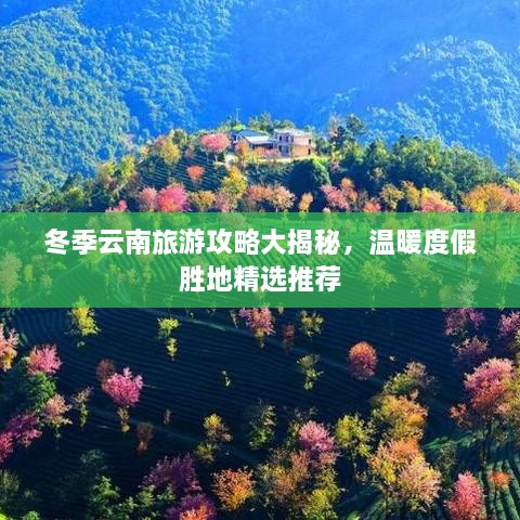 冬季云南旅游攻略大揭秘，温暖度假胜地精选推荐