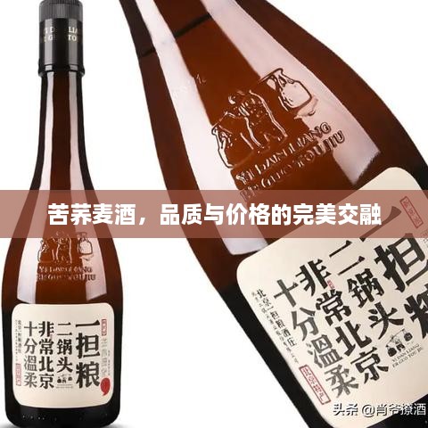 苦荞麦酒，品质与价格的完美交融