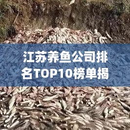 江苏养鱼公司排名TOP10榜单揭晓！