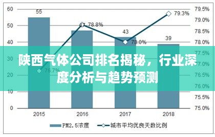 陕西气体公司排名揭秘，行业深度分析与趋势预测