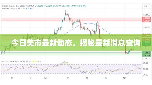 今日美市最新动态，揭秘最新消息查询