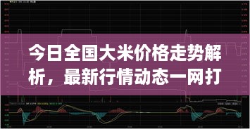 今日全国大米价格走势解析，最新行情动态一网打尽！