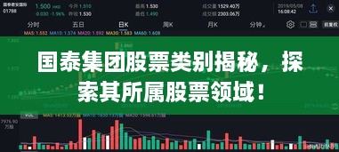 国泰集团股票类别揭秘，探索其所属股票领域！