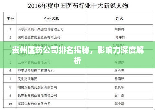 贵州医药公司排名揭秘，影响力深度解析