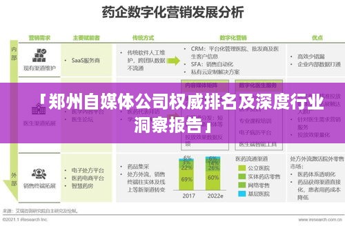 「郑州自媒体公司权威排名及深度行业洞察报告」