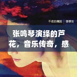 张鸣琴演绎的芦花，音乐传奇，感人至深