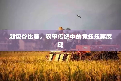 剥包谷比赛，农事传统中的竞技乐趣展现