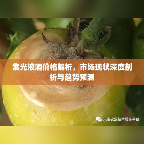 紫光液酒价格解析，市场现状深度剖析与趋势预测