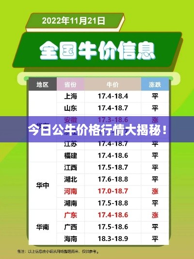 今日公牛价格行情大揭秘！