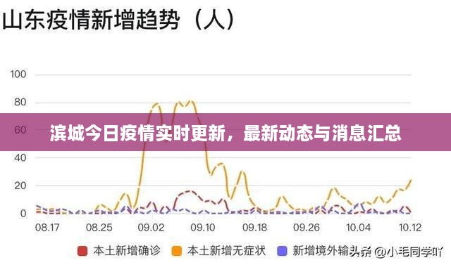 滨城今日疫情实时更新，最新动态与消息汇总