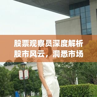 股票观察员深度解析股市风云，洞悉市场走势