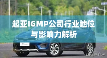 起亚IGMP公司行业地位与影响力解析