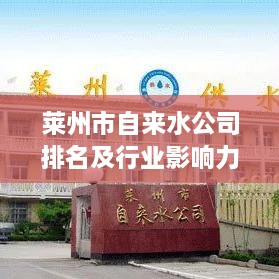 莱州市自来水公司排名及行业影响力揭秘